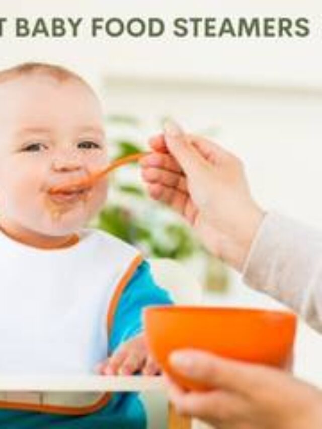 baby food steamer