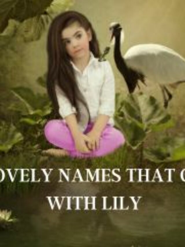 names that go with lily