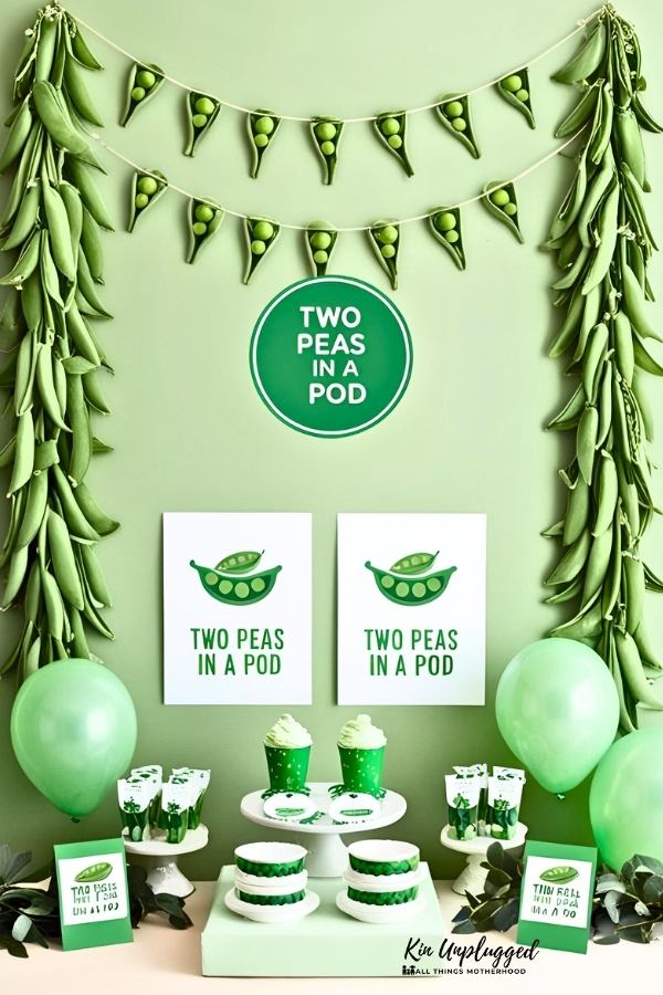 twin baby shower ideas