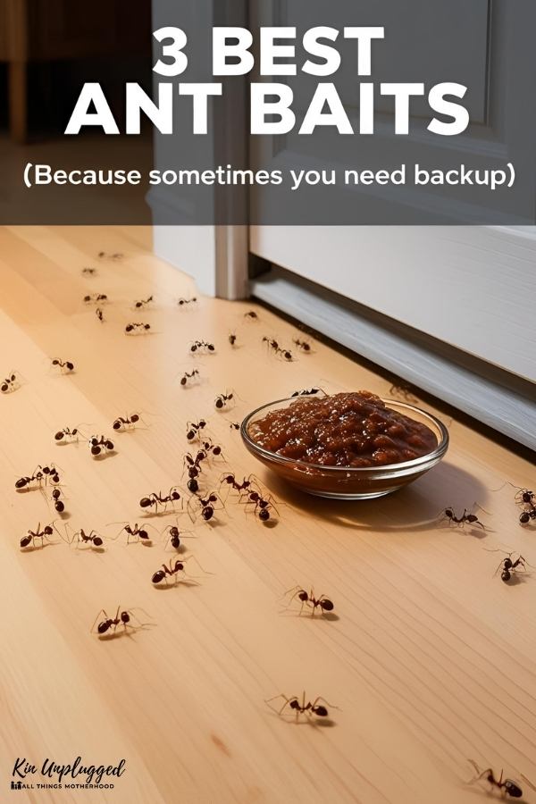 How to get rid of ants in the house quickly
