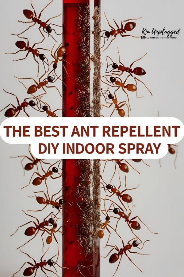 how to get rid of ants
