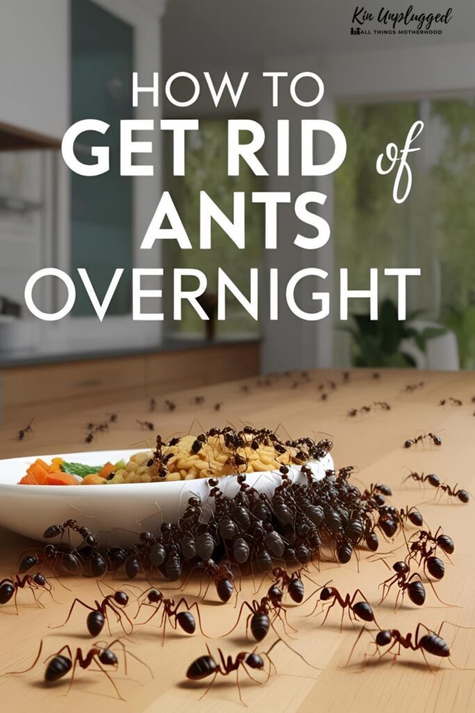 How to get rid of ants permanently