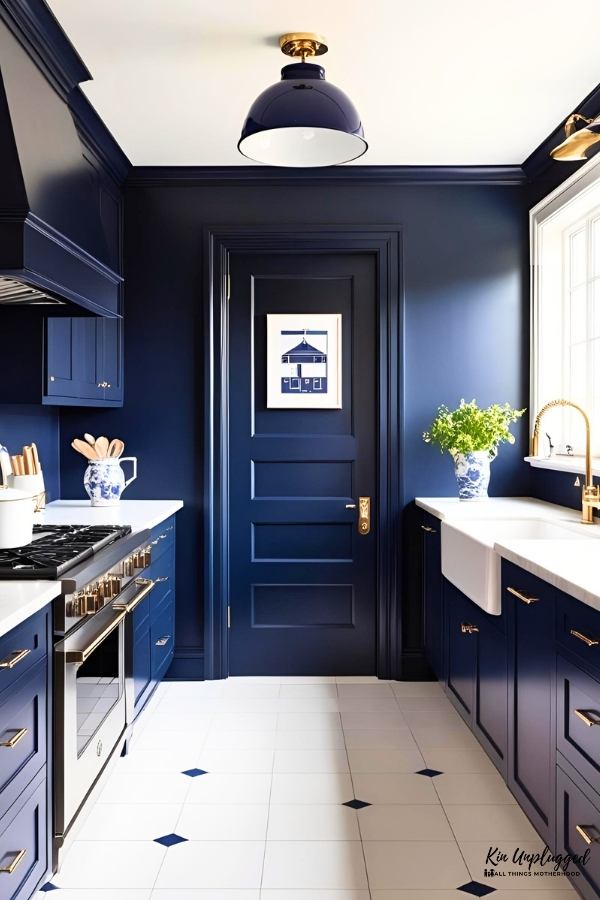 navy blue kitchen WALLS
