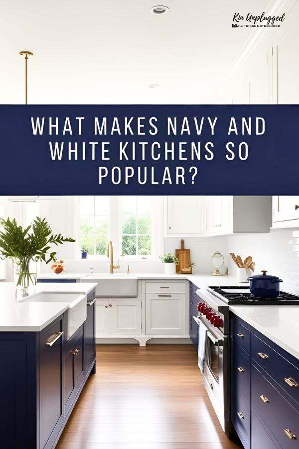 navy kitchen walls