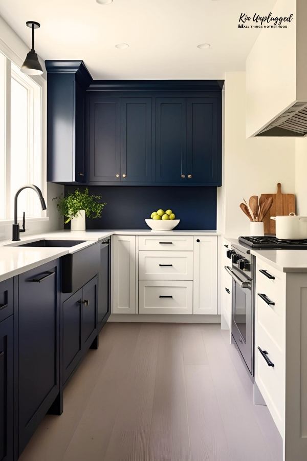 Navy and white kitchen ideas