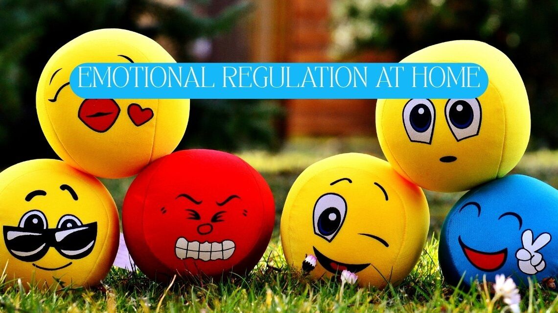 emotional regulation at home