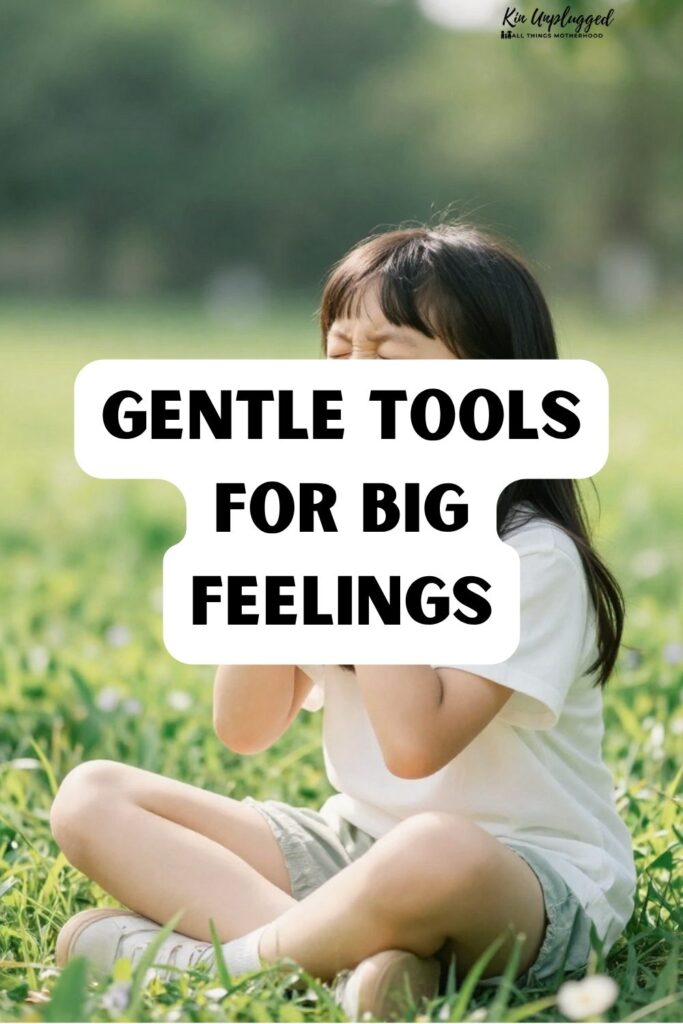emotional regulation at home