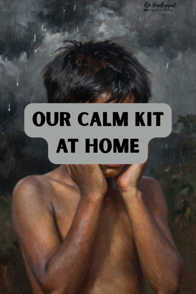 emotional regulation at home