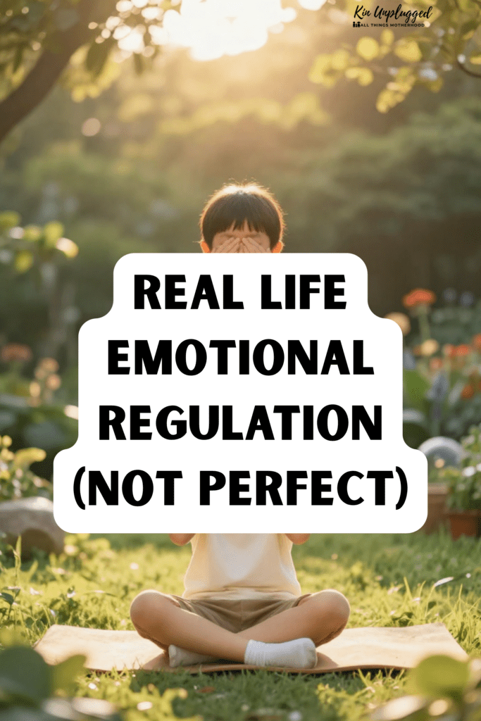 emotional regulation at home
