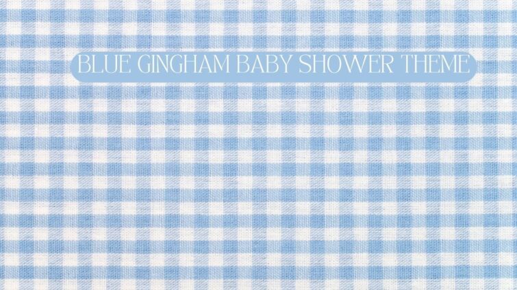 blue gingham baby shower ideas