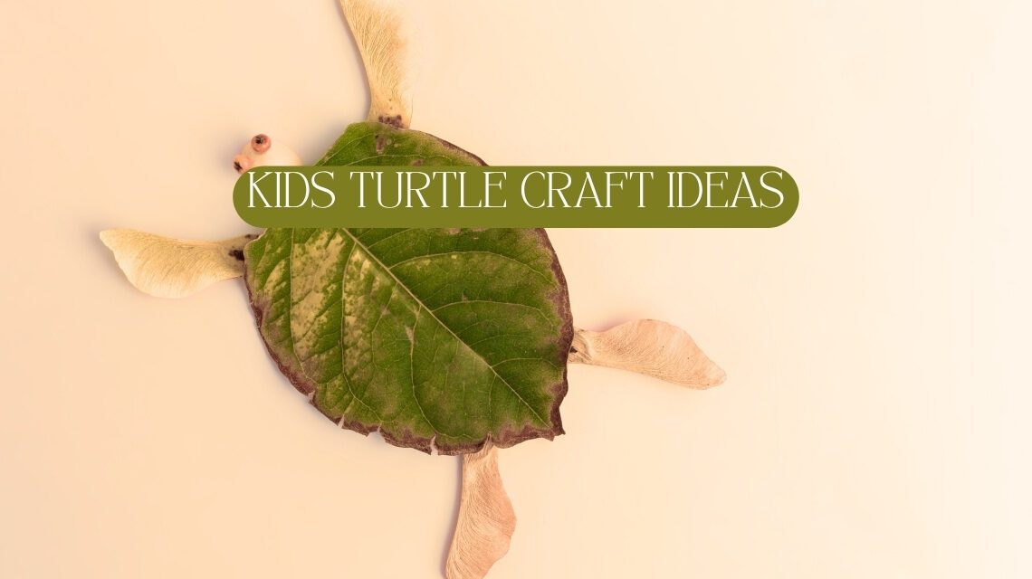 Unique Turtle Crafts for Kid