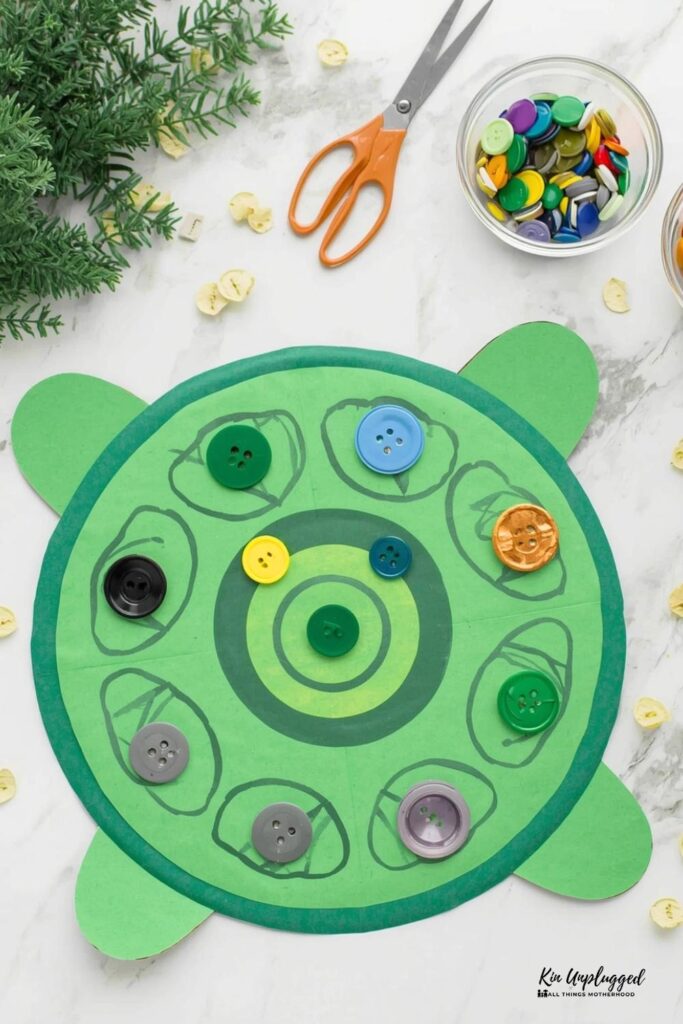 turtle craft set