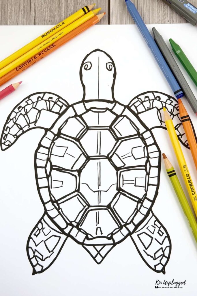turtle art and crafts