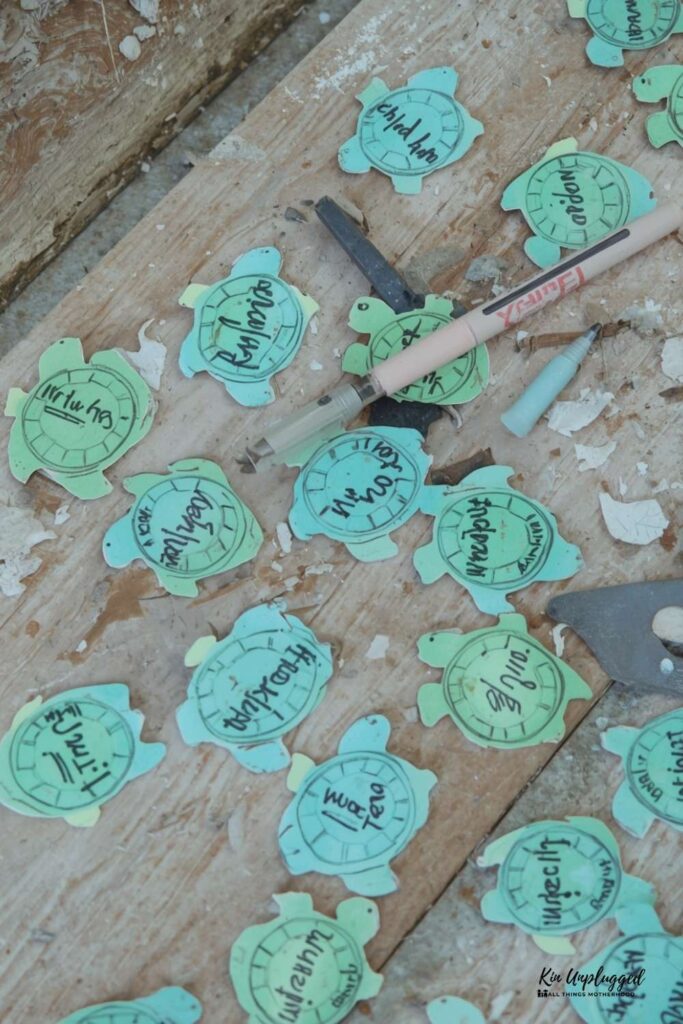 sea turtle crafts for kids