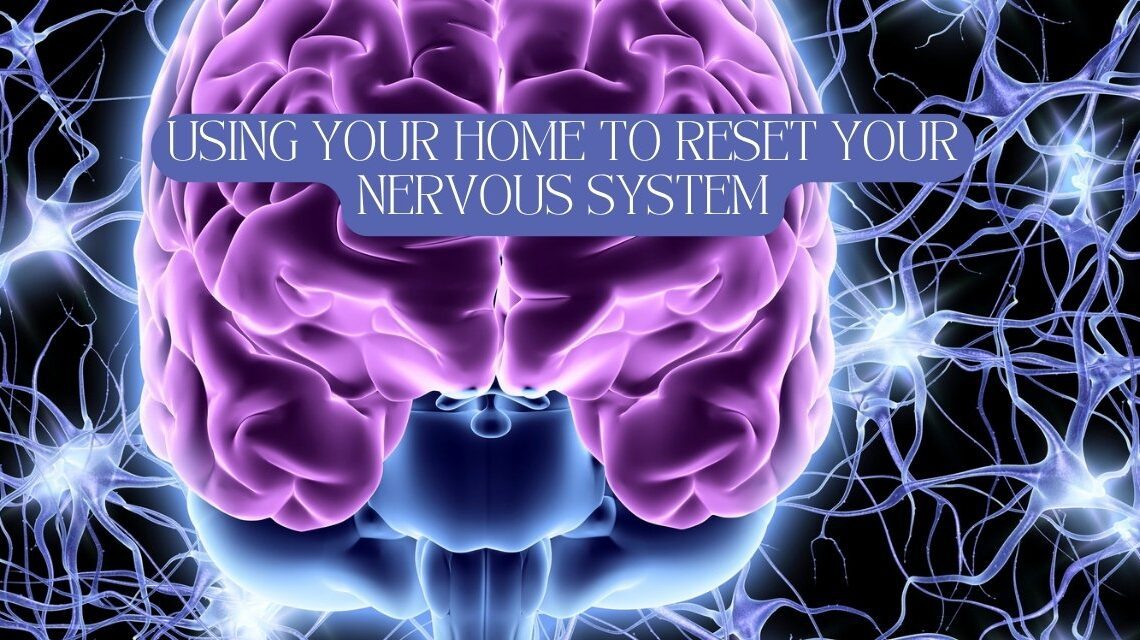 home spaces and the nervous system