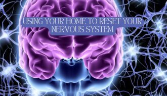 home spaces and the nervous system