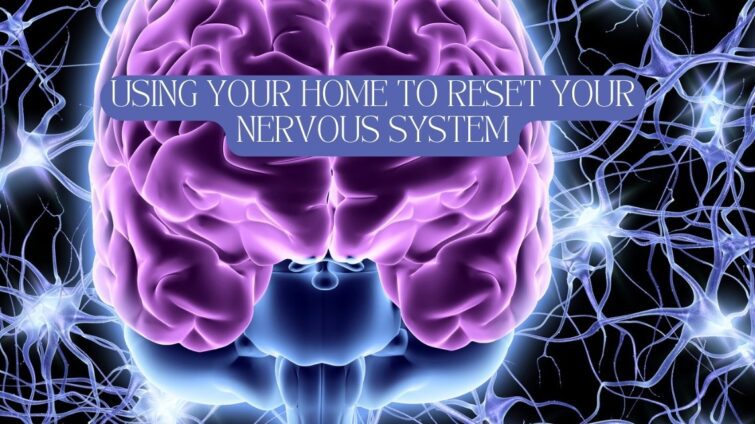 home spaces and the nervous system