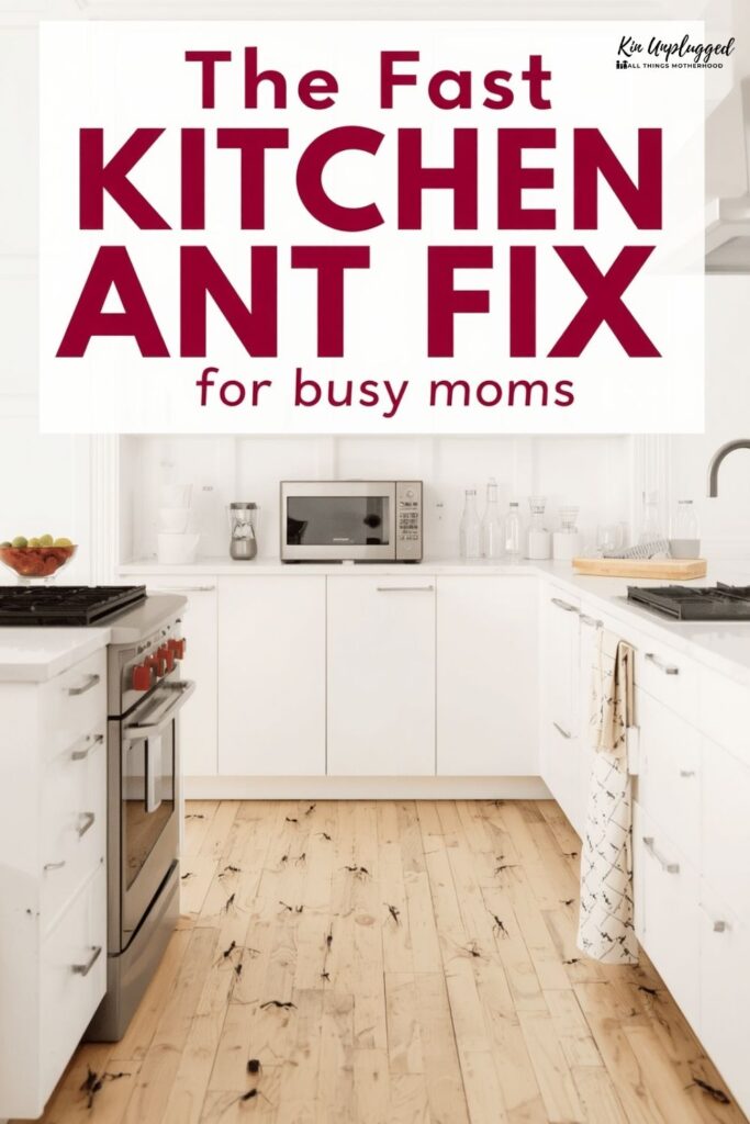How to Get Rid of Ants in the Kitchen Fast