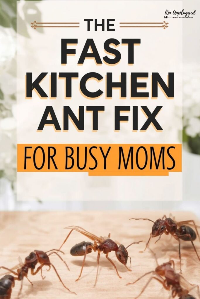 How to Get Rid of Ants in the Kitchen Fast