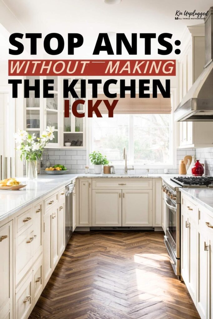 How to Get Rid of Ants in the Kitchen Fast