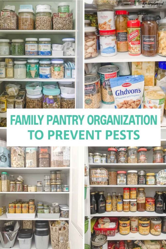 family pantry organization to prevent pests